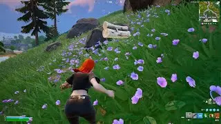 Fortnite_20250305213329