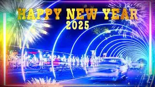 Wishing You a Peaceful Happy New Year 2025