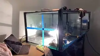 Aquarium Overhaul - Day 4 - Cleaning the glass: water & cloudy spots, silicone "stain" & scratches