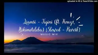 Liamsi - Tigini (ft. Kouz1, Kikimoteleba) [Slowed - Reverb]