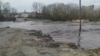Річка Ірша напередодні Вербної неділі