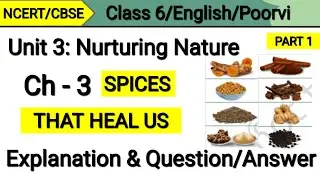 Spices That Heal Us | Class 6 English | Explanation | Question Answer | Unit 3 Nurturing Nature