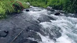 Live Relaxing Water Sounds – Soothing Nature Ambience for Deep Sleep & Stress Relief
