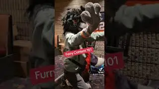 Furry Content 101 