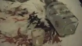 stop motion with plasticine and tequilla
