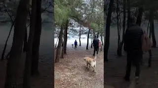 Пицунда Ноябрь пришли купаться