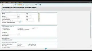 SAP MM - Processo de Inventário Físico - Processamento Coletivo