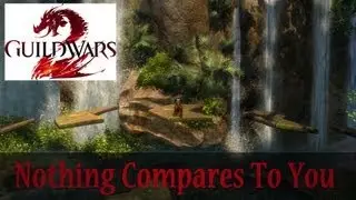 GuildWars 2 - Nothing Compares To You (Parody)