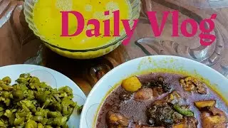 Daily Vlog 