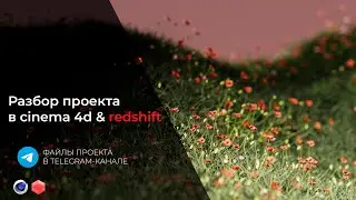Разбор проекта в cinema 4d & redshift