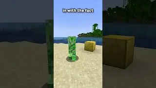 This is possibly Minecraft's most USELESS feature...
