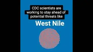 Wastewater Surveillance | Public Health in Action