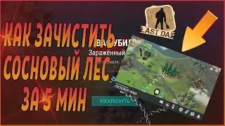 Прохождение Last Day On Earth С Нуля|Гайд НОВИЧКАМ - Как Зачистить СОСНОВЫЙ ЛЕС?!