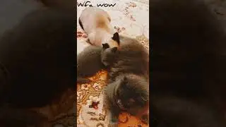 назад в детство
