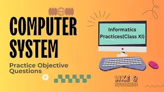 MCQs on Computer System | Informatics Practices | Class XI