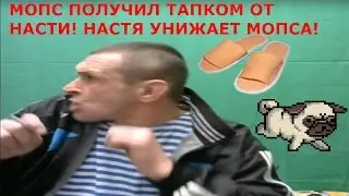 МОПСА БЬЮТ ТАПКОМ! НАСТЯ УНИЖАЕТ МОПСА!