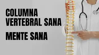 Columna vertebral sana, mente sana, por Glenn Patrick Duff