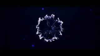 Топ 5 интро 2D и 3D