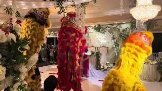 Wedding Lion Dance