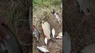 Рыбалка на Оби