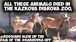 All these animals died in the Kazkova Dibrova Zoo, which was located in Nova Kakhovka🥺