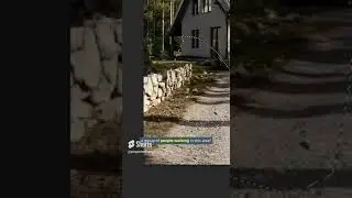 Adobe Photoshop new AI tool | #shorts