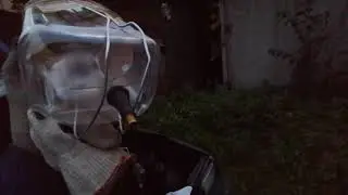 Реанимация Оки