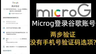 华为鸿蒙安装谷歌框架,解决microg登录谷歌账号没有手机号验证码选项,两步验证问题,安装GMS,Google Play商店,设置备用码备用验证码