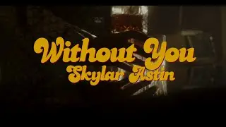 Skylar Astin - Without You (Official Music Video)