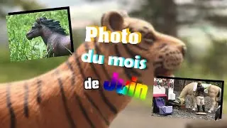 Photo du mois de juin ❤️