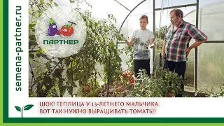 ШОК! Теплица у 13-летнего мальчика. Вот так нужно выращивать томаты!