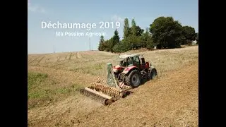 Déchaumage 2019