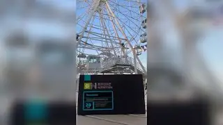 Натуральные нейропротекторы  