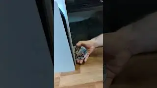 Sony PlayStation 5 can't see discs. Help.