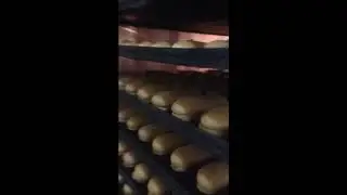 Выпечка эклеров в ротационной печи ROTO AVANT