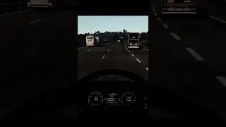 Действительно всем так интересно как я выгляжу?🤔 #eurotrucksimulator2 #ets2