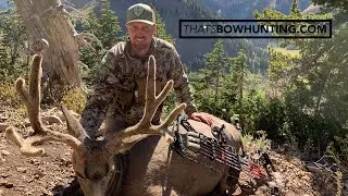 BIG Wyoming High Country archery  mule deer ARCHERY KILL