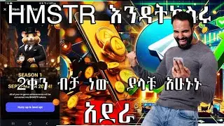 I Tried HAMSTER KOMBAT Airdrop for 2 Days Here's What Happened!