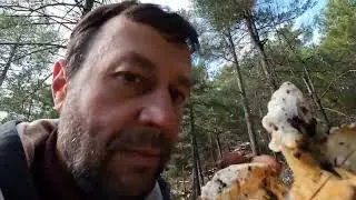 Зимой по грибы! 31 января.  Горы Торос.
