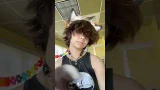 Gay fox 🤨 