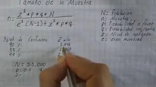 DETERMINACIÓN DEL TAMAÑO DE MUESTRA
