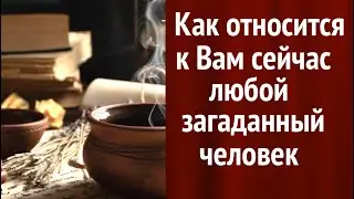 КАК ОТНОСИТСЯ к ВАМ сейчас любой ЗАГАДАННЫЙ человек/Таро расклад🔮@TianaTarot