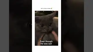 lost from 3 weeks, and finally found