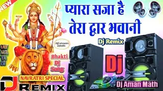 प्यारा सजा है तेरा द्वार भवानी | Pyara Saja Hai Tera Dwar Bhawani | Navratri Special | Dj Aman Math