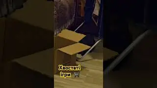 27 жовтня 2024 р.