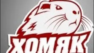 СОДЕРЖАНИЕ ХОМЯКА 🐹