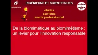 De la biomimétique au biomimétisme : un levier pour l’innovation responsable