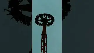 ВЕЧНЫЙ ДВИГАТЕЛЬ. СОЧИ-ПАРК. Апрель 2024
