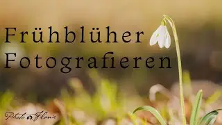 Fotografieren von Frühblühern Anfang März
