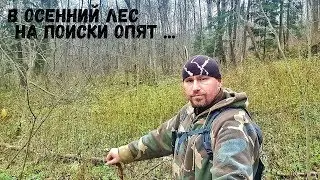 In the autumn forest in search of honey mushrooms. Behind the scenes in October.
